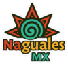 Site Icon
