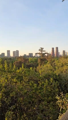 VID-20260325-WA0001